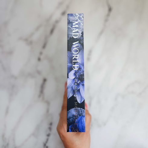 Mad World by Hannah McBride